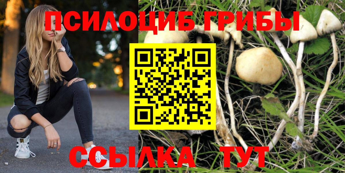 Галлюциногенные грибы Magic Shrooms  Псилоцибиновые грибы мухоморы  Вход с VPN  Артёмовский 