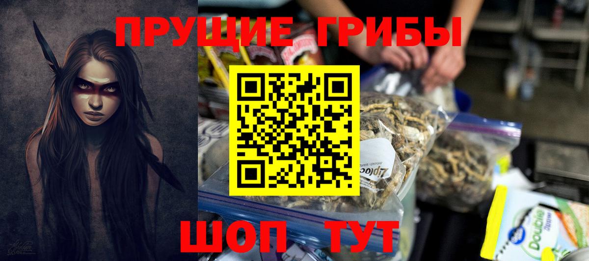 Галлюциногенные грибы мухоморы Артёмовский